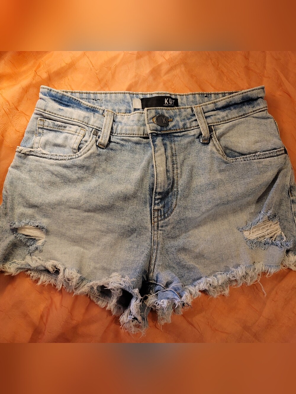 Kut from the Kloth Light Blue Denim Frayed Hem Women's Shorts